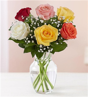 Assorted Roses Classic 6 Flower Bouquet