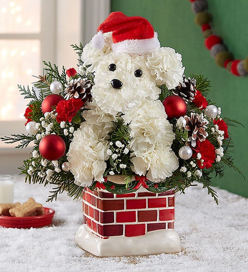 Santa Paws - Christmas Dog Bouquet