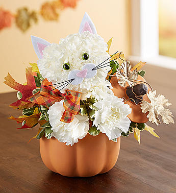 Fabulous Feline™ for Fall Flower Bouquet