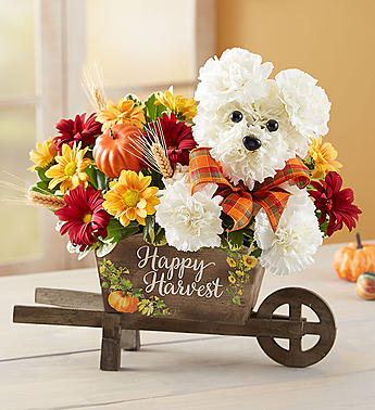 a-DOG-able® for Fall Flower Bouquet