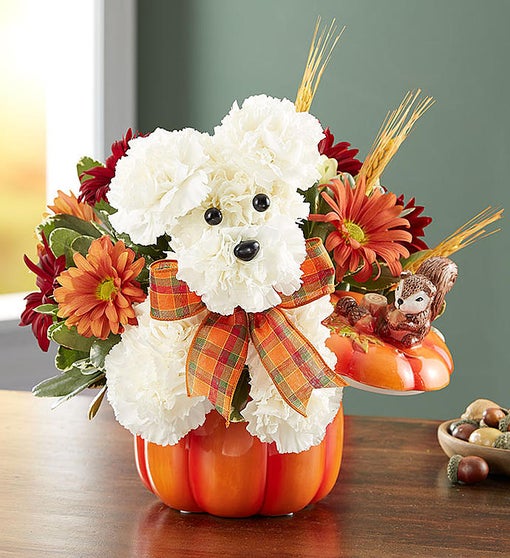 a-DOG-able® for Fall (LID NOT INCLUDED) Flower Bouquet