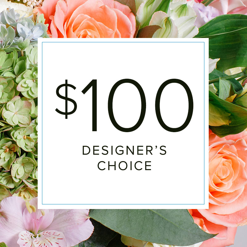 Designers Choice $100