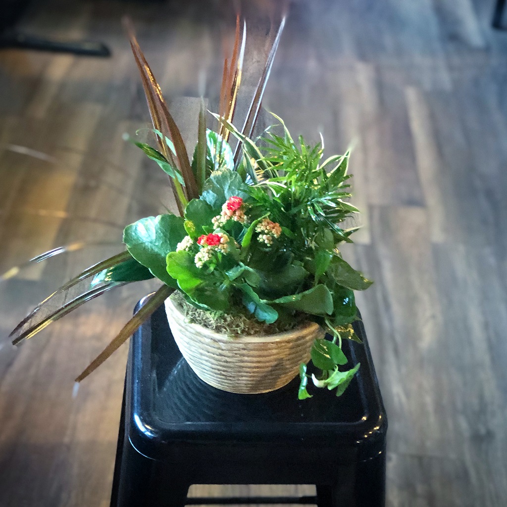 Blooming Dish Garden