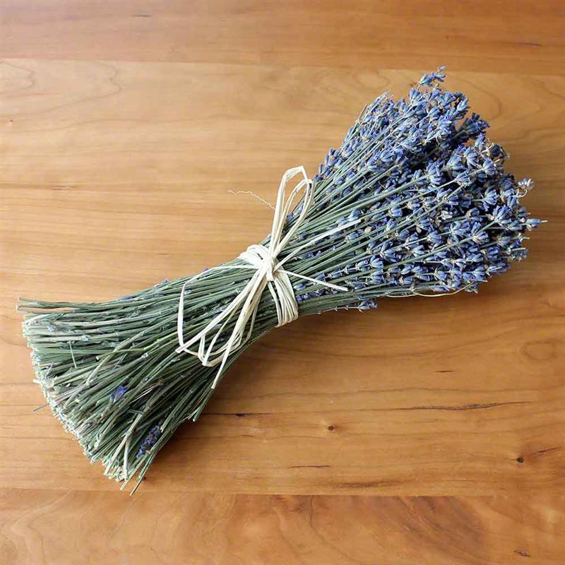 Lavender Dried