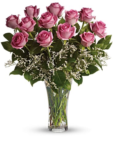12 Beautiful Pink Roses 