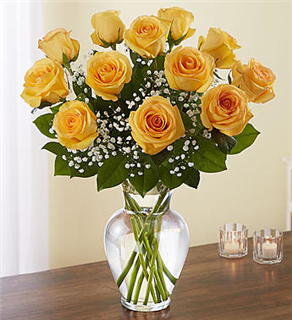 Yellow Rose Classic 12 Flower Bouquet