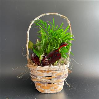 6 " Plant Basket Flower Bouquet