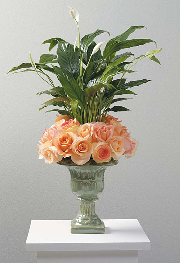 Bed of roses peace lily Flower Bouquet