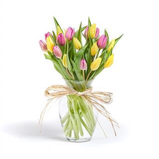 Cheerful Tulips