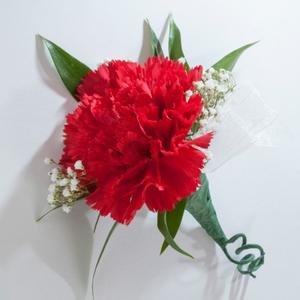 Boutonniere - Carnation Flower Bouquet
