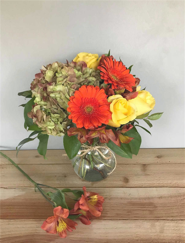 Dainty Fall Blooms