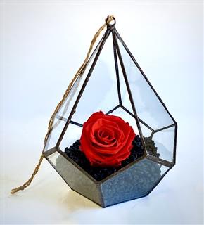 Lasting Love - Preserved Rose