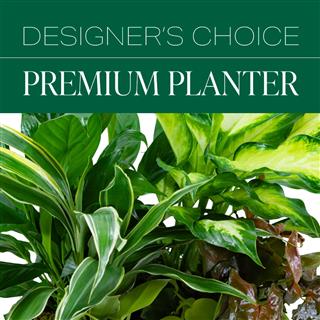 Designer's Choice Premium Planter Flower Bouquet