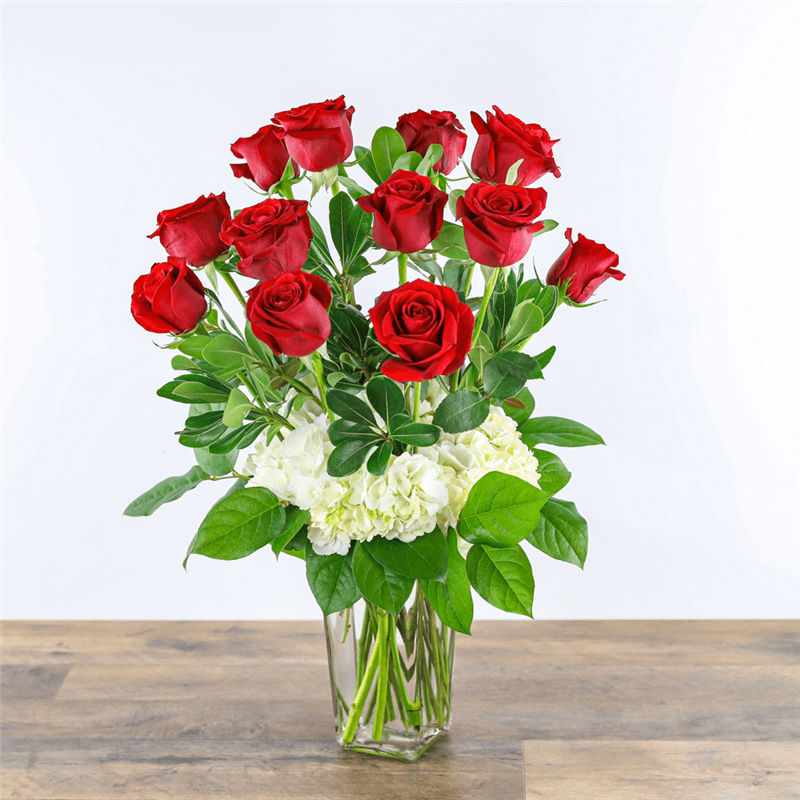 One Dozen Red Roses with Hydrangea