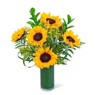 Ray of Golden Sunflowers Flower Bouquet