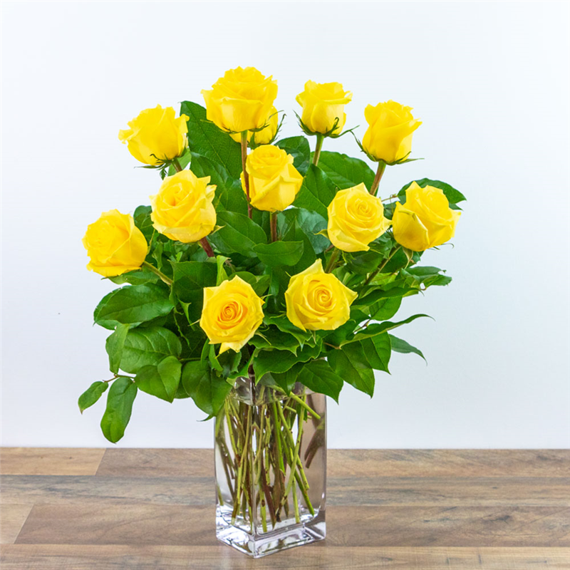 Yellow Roses (12)