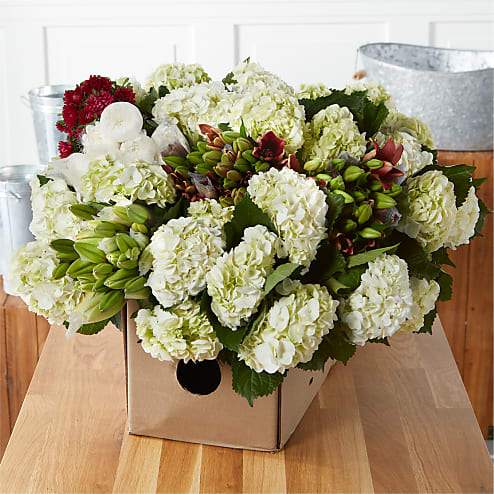 For The Party Bulk Blooms
