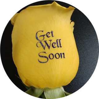 Get Well Yellow Embossed Roses
