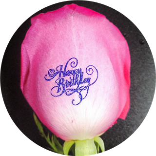 Happy Birthday Embossed Pink Roses