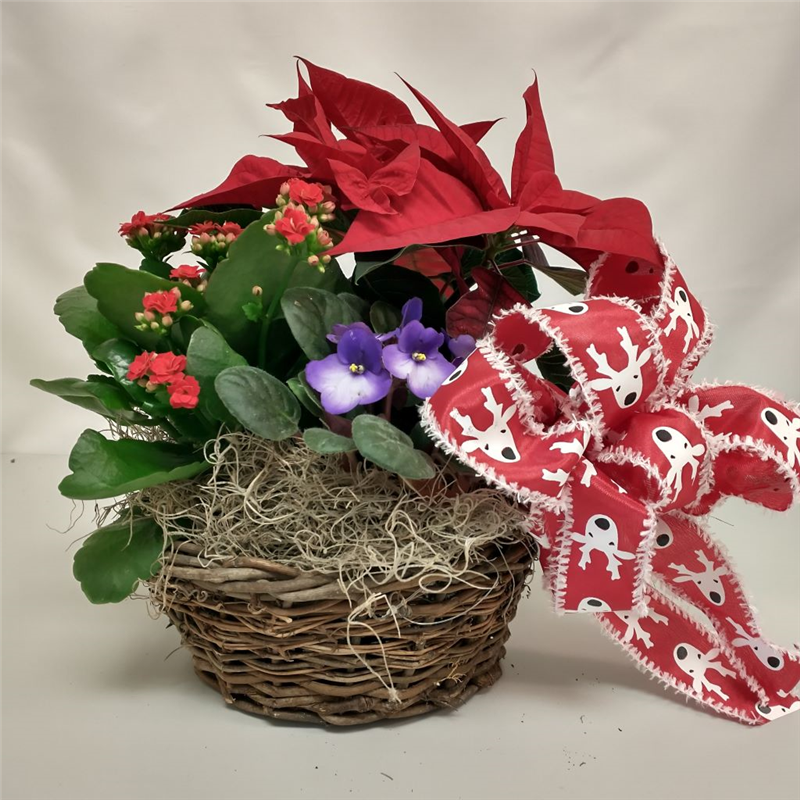 Christmas Blooming Basket Flower Bouquet