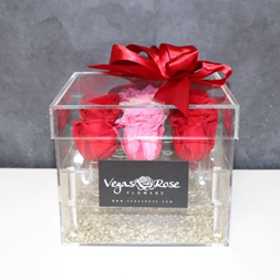 Red and Pink Preserved Roses in Acrylic Box