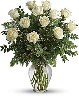 Wondrous White roses 