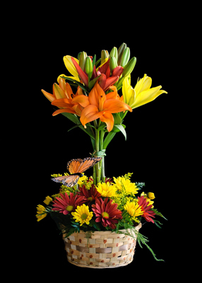 Judys Lily Mariposa Flower Bouquet