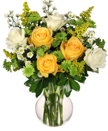 WHITE & YELLOW ROSES Flower Bouquet