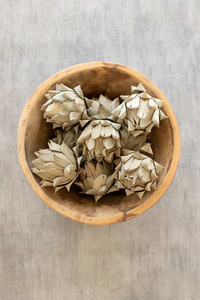 Natural Dried faux artichokes