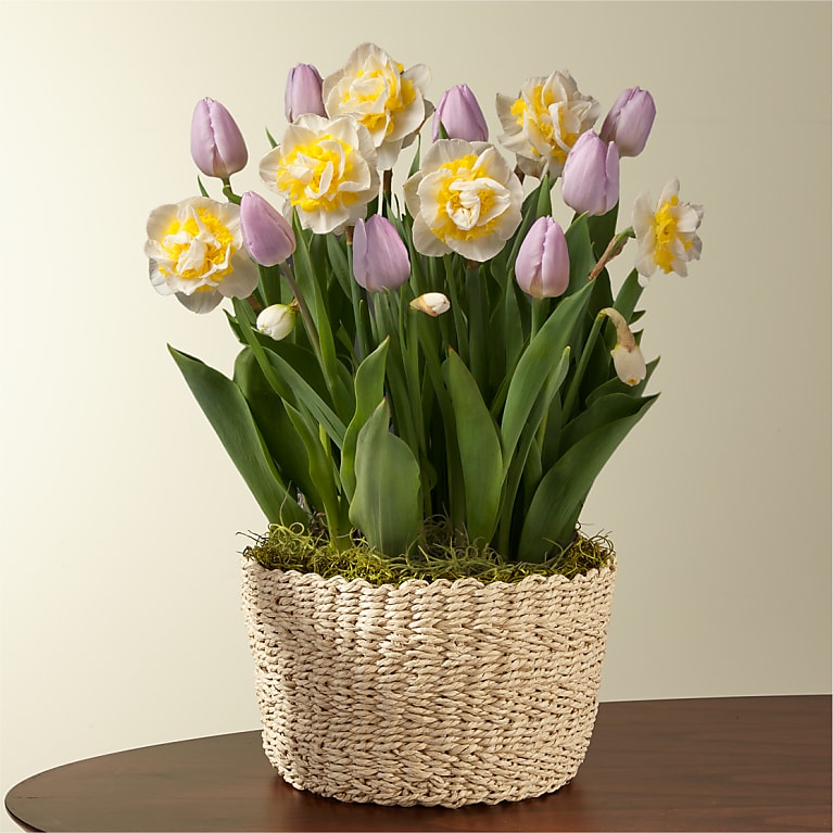 Cheerful Daffodil & Tulip Bulb Garden Flower Bouquet