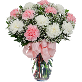 12  Pink and White Carnation Arrangement