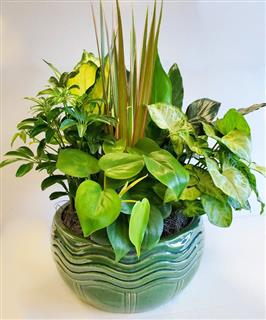 8" Planter