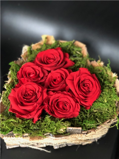 Preserved Rose in Birch Heart