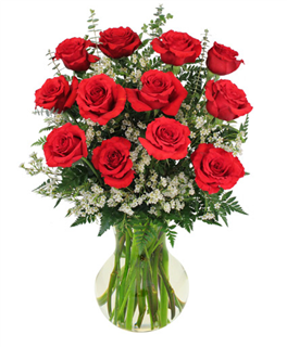 RED ROSES AND WISPY WHITE ACCENT FLOWERS