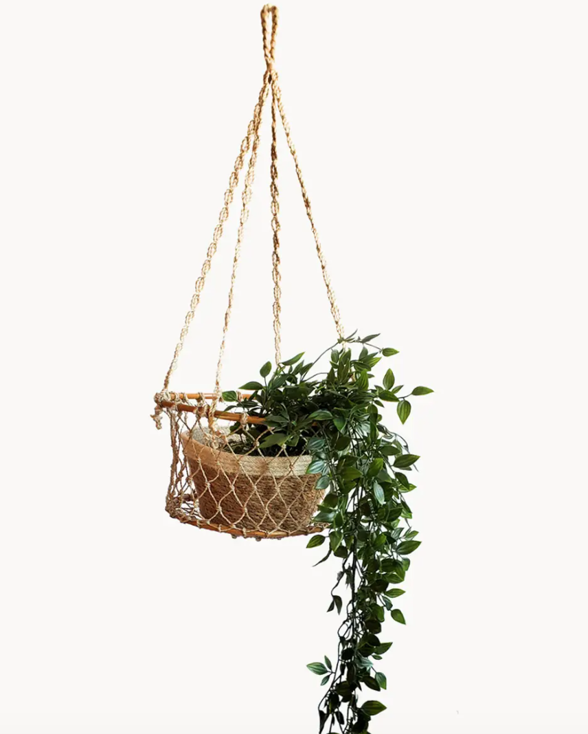 Jhuri Single Hanging Basket