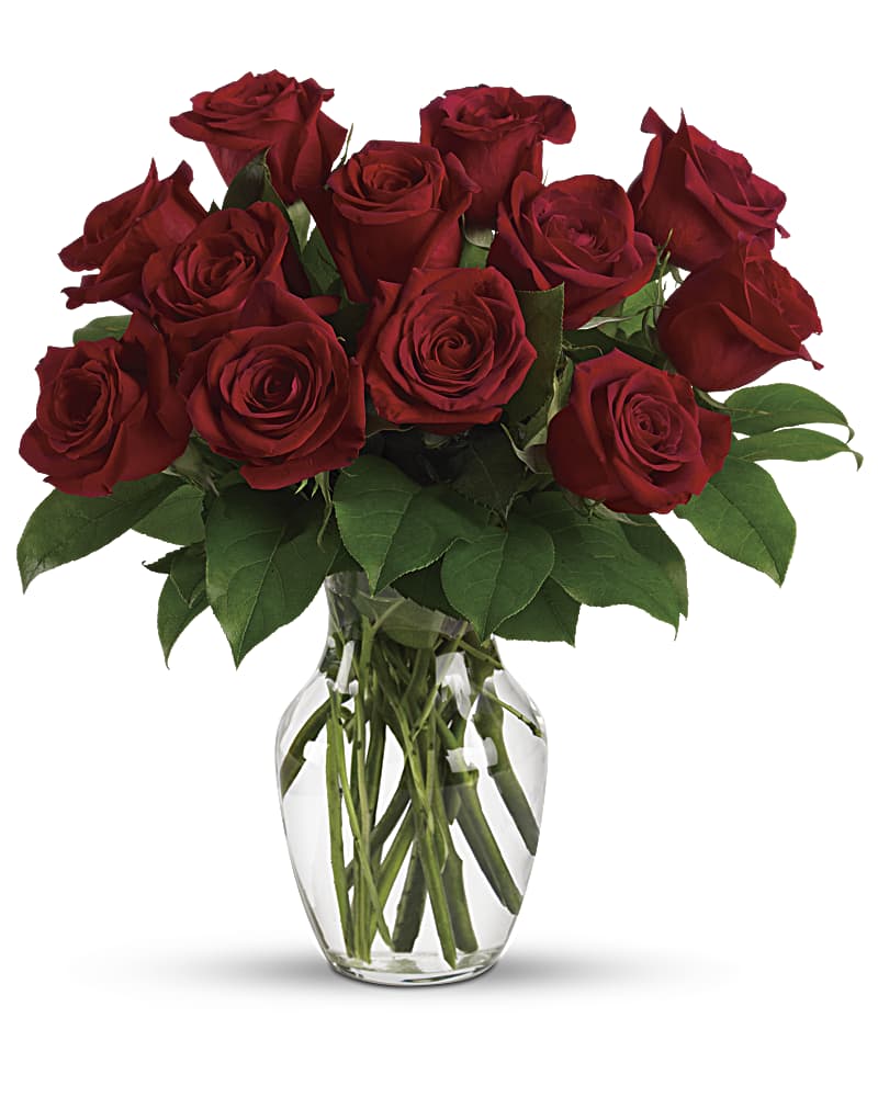 Enduring Passion - 12 Red Roses
                                
                                        
                                                    Strike Price
                                                    $64.99 
                                                
                                                    Current Price
                                                    $61.74