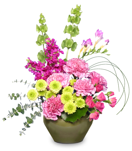 Charming Collection of Flowers