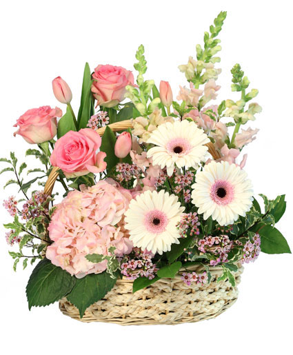 PINK BUNDLES OF JOY Flower Bouquet