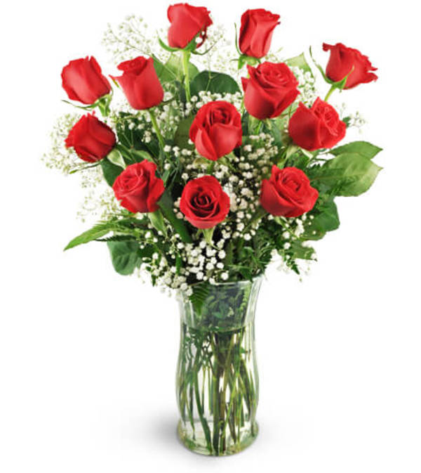 Red Rose Classic 12 Flower Bouquet
