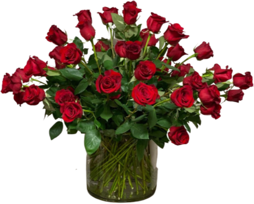 Extravagant Red Roses