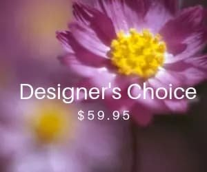Designer's Choice 59.95