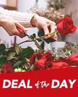 Valentines Deal Of The Day