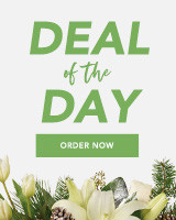 CHRISTMAS DEAL OF THE DAY Flower Bouquet