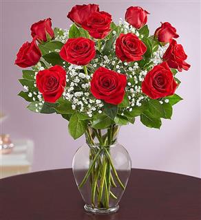 Premium Long Stem Red Rose Dozen Flower Bouquet