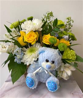 Congratulations on your Baby Boy